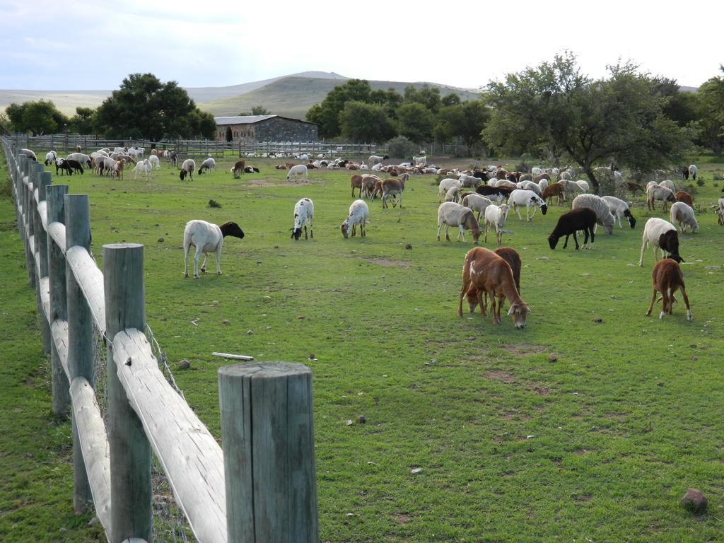 Waterval Farmstay Graaff Reinet Luaran gambar