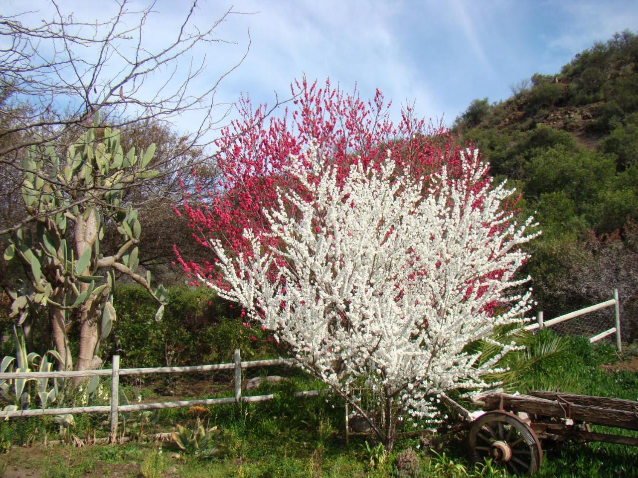 Waterval Farmstay Graaff Reinet Luaran gambar
